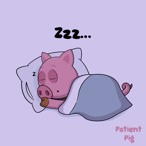 Sleeping Pig in Bed Saying Zzz Patient Pig