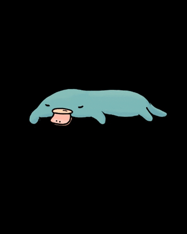 Sleeping Platypus Animation GIF