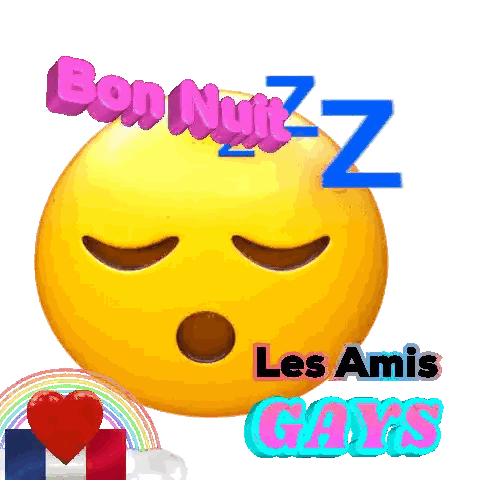 Sleeping Smiley Saying Bon Nuit