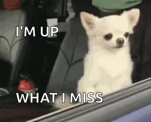 Sleepy Dog Im Awake GIF