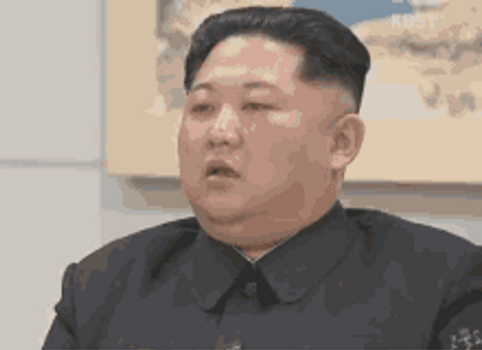 Sleepy Eyes Kim Jong Un GIF