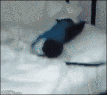 Sleepy Good Morning Chimpanzee GIF