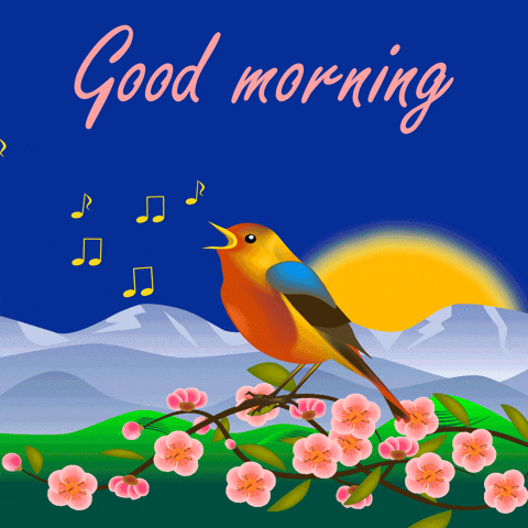 Sleepy Good Morning Singing Songbird GIF