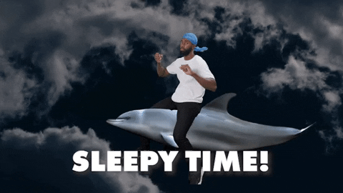 Sleepy Time In My Dreams Riding Dolphin GIF