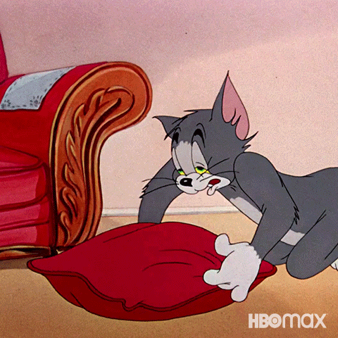 Sleepy Tom Boa Noite GIF