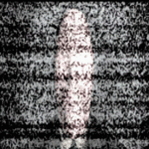 Slenderman In The Blurry Screen GIF