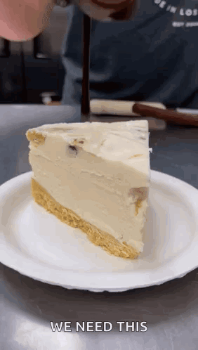 Slice of Cheesecake with We Need This