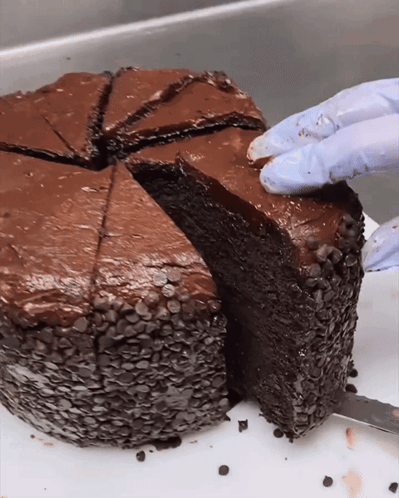 Slice Of Chocolate Cake Taken Out GIF