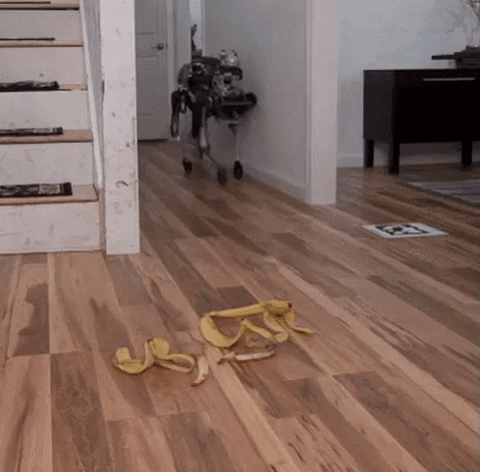 Slip Boston Dynamics Banana GIF