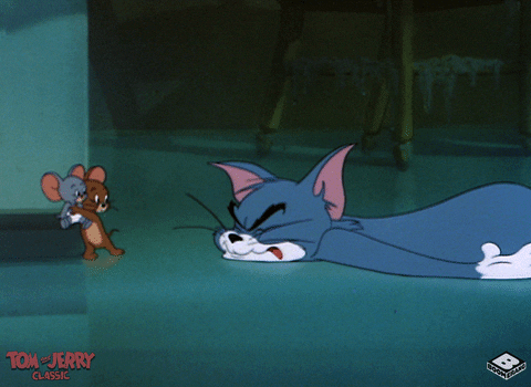 Slip Tom And Jerry Cartoon Network GIF