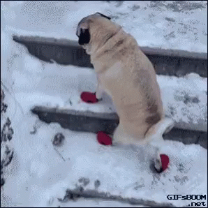 Slipping On Ice 298 X 298 Gif GIF