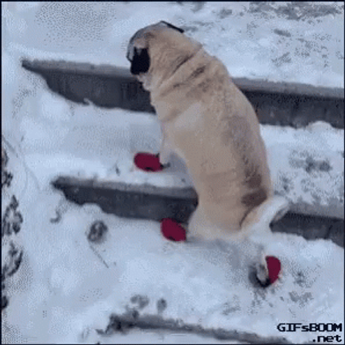 Slipping On Ice GIF