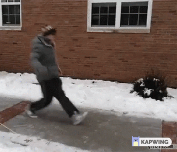 Slipping On Ice GIF