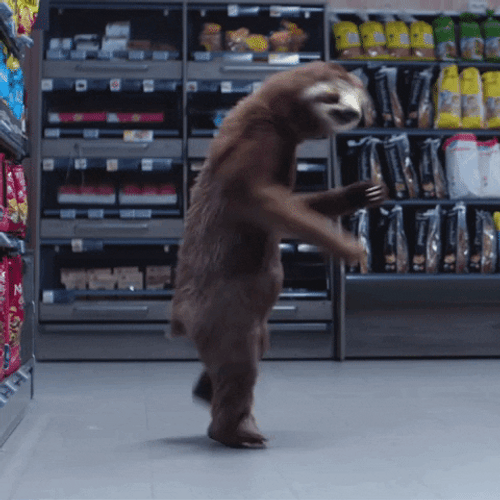 Sloth Energetically Dancing GIF