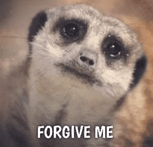 Sloth Forgive Me GIF