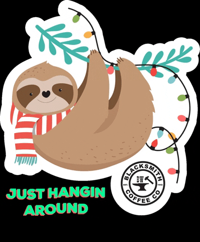 Sloth Just Hanging Around GIF
