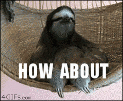 Sloth Laying in Hammock Saying How About