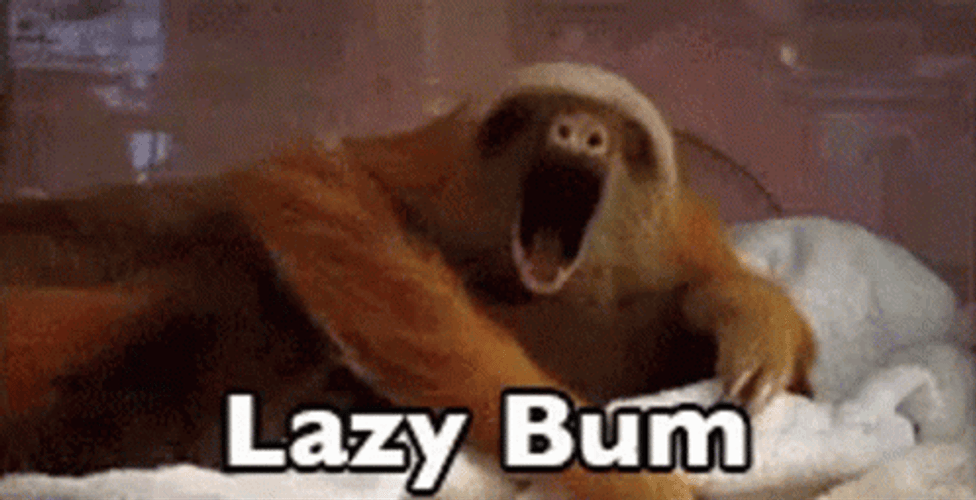 Sloth Lazy Bum GIF