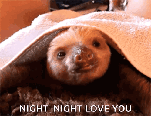 Sloth Under Blanket Saying Night Night Love You