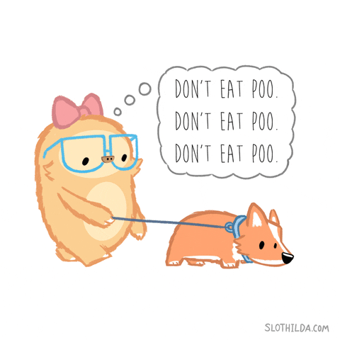 Slothilda Don't Eat Poo GIF