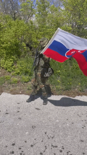 Slovakia Army Waving Flag GIF