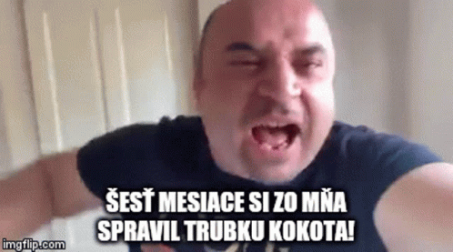 Slovakia Mad Vlogger Mesiace Kokot GIF