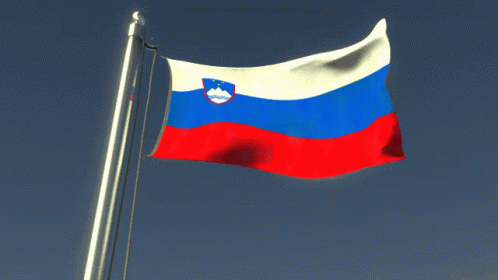 Slovenia National Flag GIF