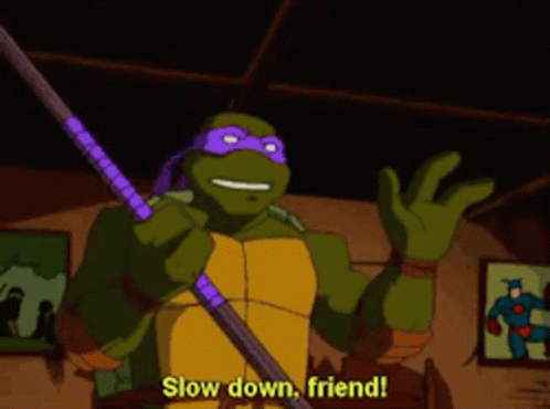 Donatello Teenage Mutant Ninja Turtles Slow Down Friend GIF