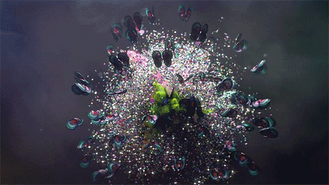 Slow Motion Butterflies GIF