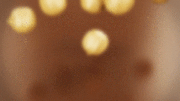 Slow Motion Chocolate Hazelnuts GIF