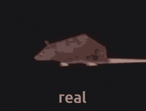 Slow Motion Spinning Animated Rat GIF