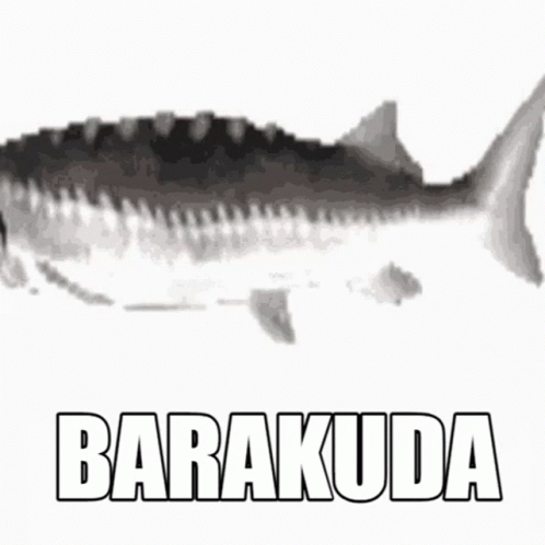 Slow Moving Spinning Barakuda Fish GIF