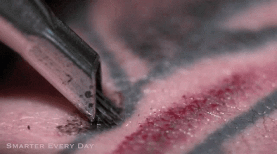 Slowmotion Tattoo Inking GIF