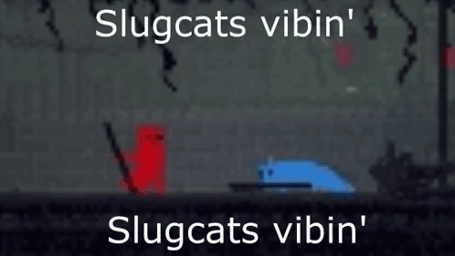 Slugcats Vibin