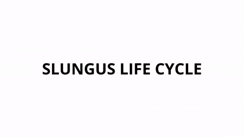 Slungus Life Cycle Item Asylum Gif GIF
