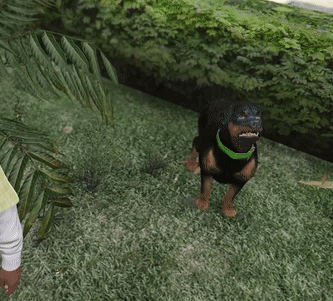 Small Black Dog With Green Collar in Field
