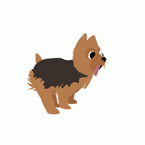 Small Brown Dog Running In Sweater GIF