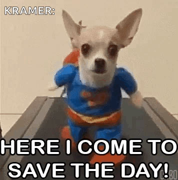 Small Dog Dressed as Superman Running on Treadmill