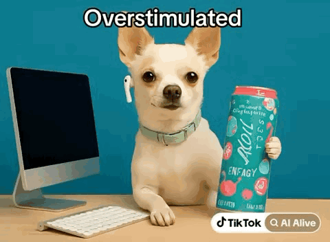 Small Dog Holding Energy Drink In Front Of Computer