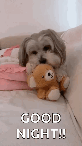 Small Dog Holding Teddy Bear Saying Good Night GIF