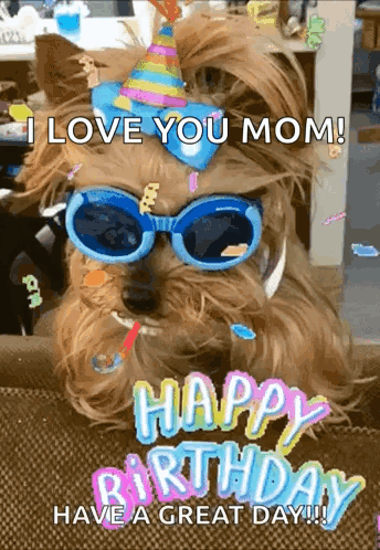 Small Dog in Sunglasses and Party Hat Says I Love You Mom