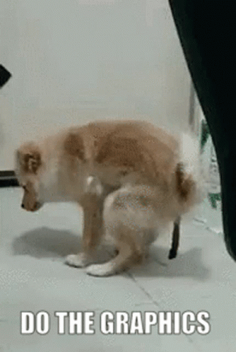 Small Dog Releasing Long Poop GIF