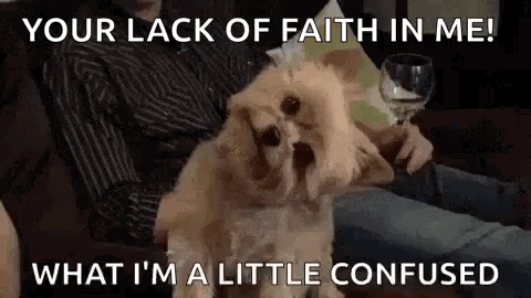 Small Dog Sitting With Wine Glass GIF