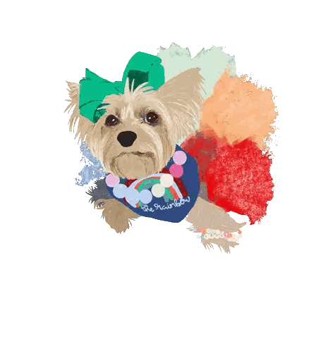 Small Dog with Rainbow Bandana and Beautiful Text