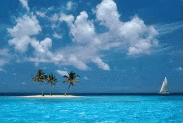 Small Island With Palm Trees And Sailboat GIF