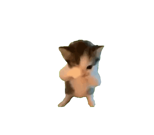 Small Kitten Standing on Hind Legs