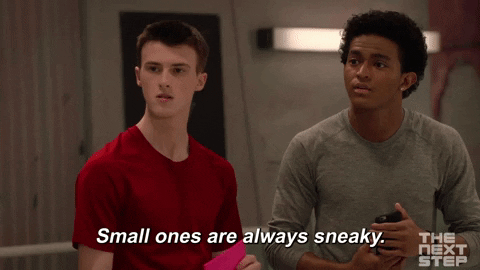 Small Ones Are Always Sly The Next Step GIF