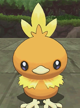 Small Orange Bird with Yellow Feather on Sidewalk