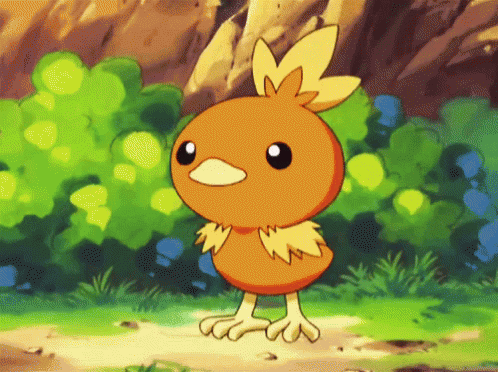 Small Orange Bird With Yellow Feathers GIF