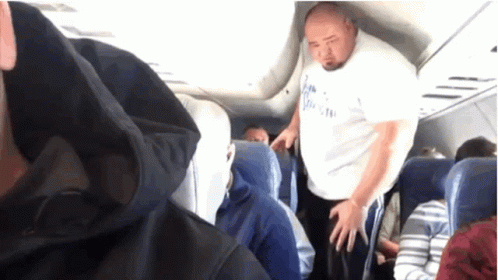 Small Plane Big Man GIF